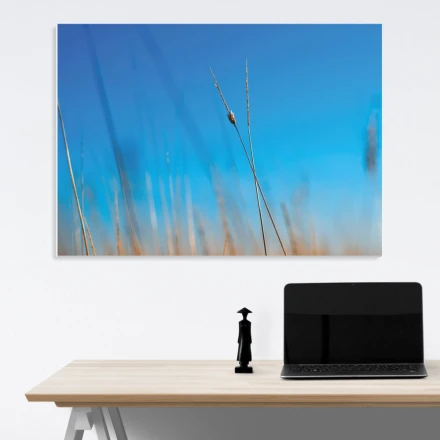 Tablica magnetyczna suchościeralna kłosy 202