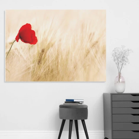 Tablica magnetyczna suchościeralna maki 179 - Aranżacja w biurze. Ściany w jasnym kolorze, minimalistyczne meble