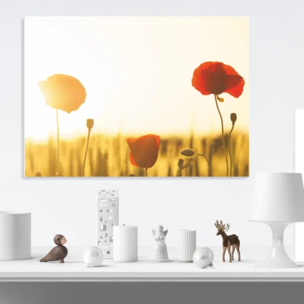 Tablica magnetyczna suchościeralna maki 200