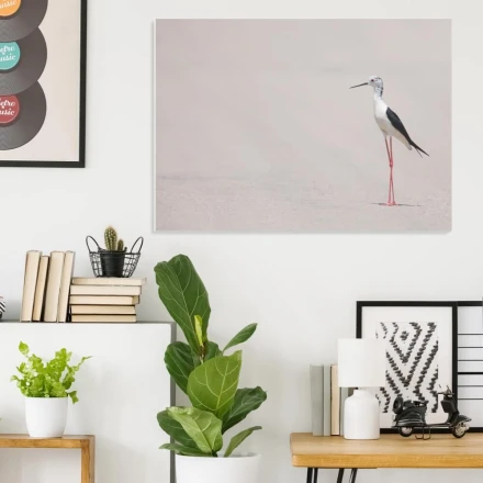 Tablica magnetyczna suchościeralna ptak 230