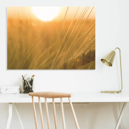 Tablica magnetyczna suchościeralna zboże 178