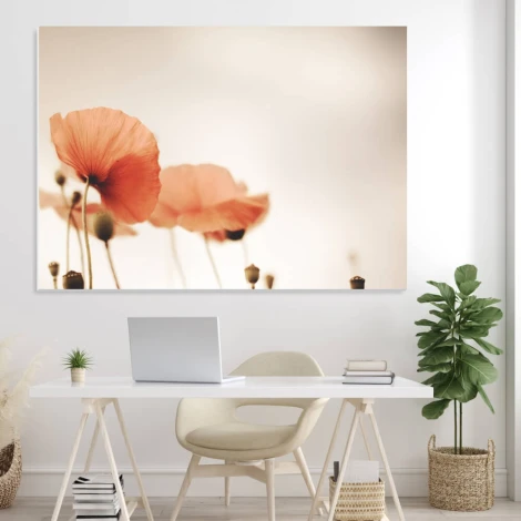 Tablica suchościeralna magnetyczna maki 01X 069 - Aranżacja w biurze. Ściany w jasnych kolorach, minimalistyczne meble