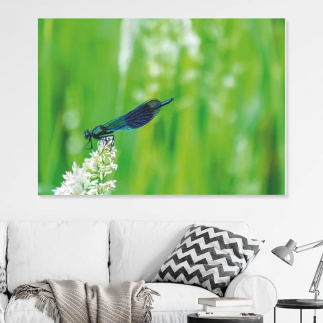 Tablica magnetyczna suchościeralna ważka 288 - Wzór graficzny. Na zielonym tle widoczna ważka na białym kwiecie