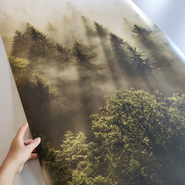 Plakat ze zdjęcia 20x30 cm na ważne okazje - Wzór graficzny. Na tle mgły widoczne są drzewa i światło przenikające przez