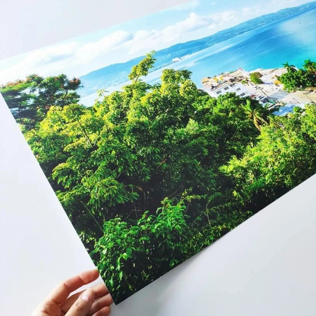 Plakat ze zdjęcia 20x30 cm na ważne okazje - Wzór graficzny. Zielone liście na tle niebieskiego morza i białych budynków