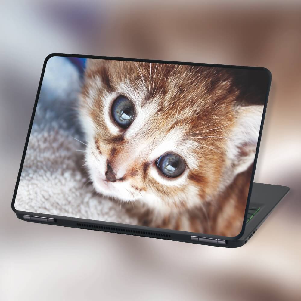 Naklejka na laptopa mały kotek P264