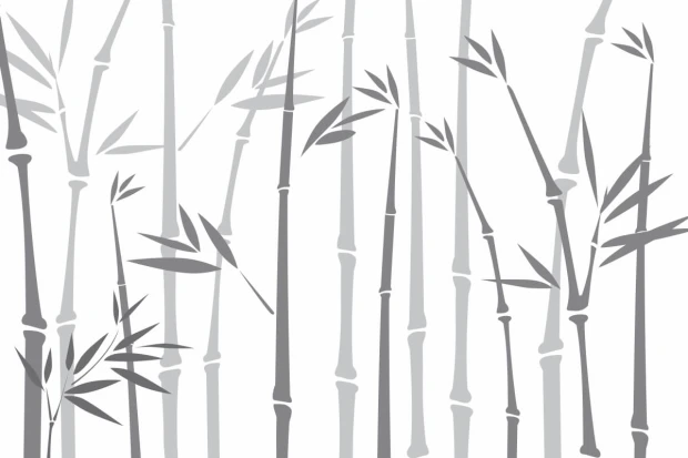 Tapeta do salonu bambus 051 - Wzór graficzny. Grafika przedstawia cienkie, pionowe łodygi bambusa w odcieniach szarości
