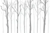 Tapeta na ścianę drzewa 048 - Wzór graficzny. Szare kontury drzew na białym tle, z delikatnymi gałęziami