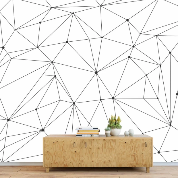 Tapeta wzór geometryczny 043 - Wzór graficzny. Czarne linie tworzące sieć z punktami na białym tle