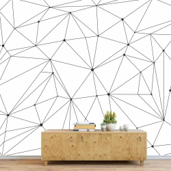 Tapeta wzór geometryczny 043 - Wzór graficzny. Czarne linie tworzące sieć z punktami na białym tle