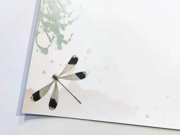 Tablica magnetyczna suchościeralna dla dzieci motyle 565 - Wzór graficzny. Na białym tle znajduje się motyl z delikatnymi