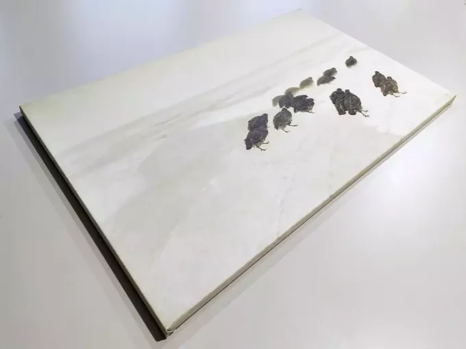Reprodukcja obrazu Kuropatwy w śniegu, Józef Chełmoński - Wzór graficzny. Obraz przedstawia stado kuropatw na tle śniegu