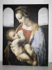Reprodukcja Madonna Litta, Leonardo Da Vinci - Wzór graficzny. Obraz przedstawia Madonnę trzymającą dziecko, w tle okna