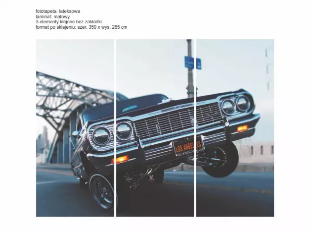 Indywidualna fototapeta lateksowa laminowana w rozmiarze 350x265cm - Wzór graficzny. Trzy części przedstawiają klasyczny