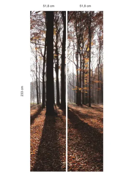 Indywidualna fototapeta samoprzylepna laminowana mat/błysk wzór jesień w lesie 249 w rozmiarze 233x 104 cm - Wzór graficzny