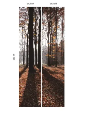 Indywidualna fototapeta samoprzylepna laminowana mat/błysk wzór jesień w lesie 249 w rozmiarze 233x 104 cm - Wzór graficzny
