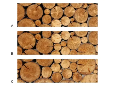 Indywidualna fototapeta samoprzylepna monomeryczna drukowana ze zdjęcia FP78 w wymiarze 205x60 cm