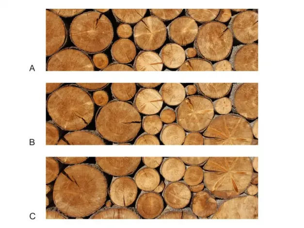 Indywidualna fototapeta samoprzylepna monomeryczna drukowana ze zdjęcia FP78 w wymiarze 205x60 cm - Wzór graficzny. Elementy