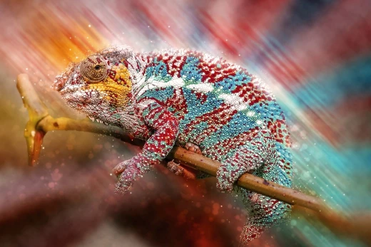Fototapeta na ścianę z nadrukiem kolorowego kameleona na gałęzi w dynamicznym, barwnym ujęciu