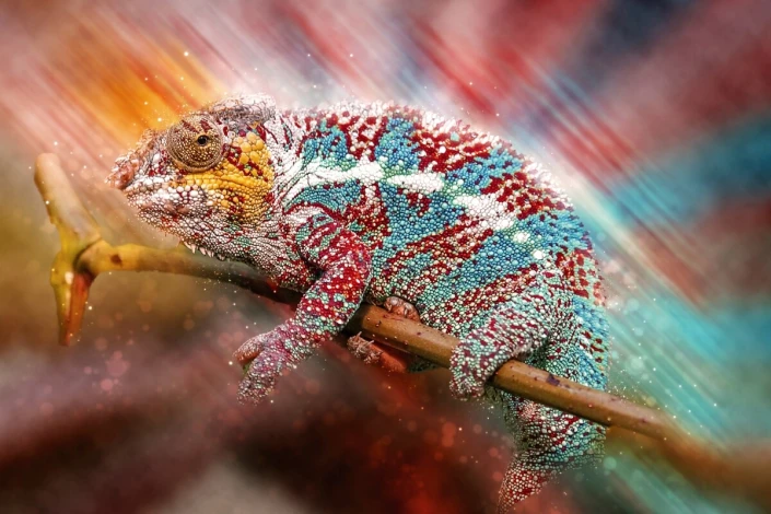 Fototapeta na ścianę kameleon FP 6400 - Wzór graficzny. Kameleon na gałęzi z intensywnymi kolorami i dynamicznymi wzorami