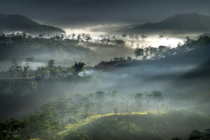 Fototapeta na ścianę górski krajobraz FP 6438 - Wzór graficzny. Przedstawia góry, lasy i mgłę