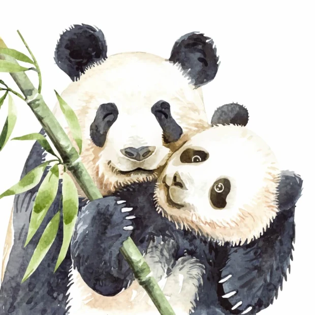 Tapeta dla dzieci Misie panda 0498 - Wzór graficzny. Dwa misie panda trzymające bambus, jeden z nich przytula drugiego