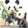 Tapeta dla dzieci Misie panda 0498 - Aranżacja w pokoju dziecięcym. Ściany w jasnych kolorach, meble drewniane