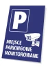 Tabliczka Miejsce parkingowe monitorowane - Wzór graficzny. Na niebieskim tle duża litera P oraz kamera monitorująca