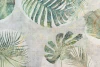 Tapeta dekoracyjna: monstera, liście monstery, palmy, zielone liście