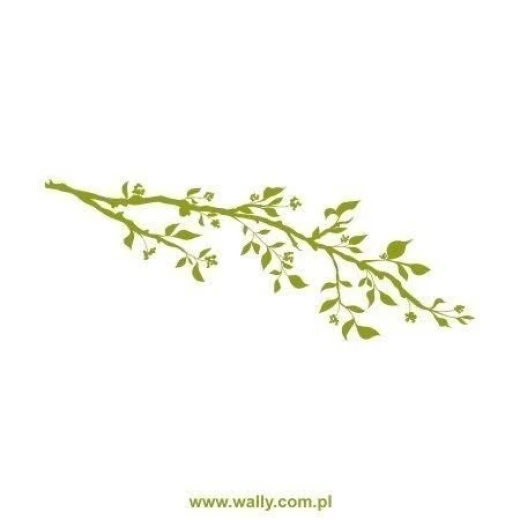 Naklejka na ścianę przedstawiająca gałąź z liśćmi i kwiatami w przykładowym zielonym kolorze na białym tle