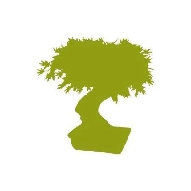 Naklejka z bonsai w intensywnym zielonym kolorze, idealna do nowoczesnego wnętrza, wprowadzająca har