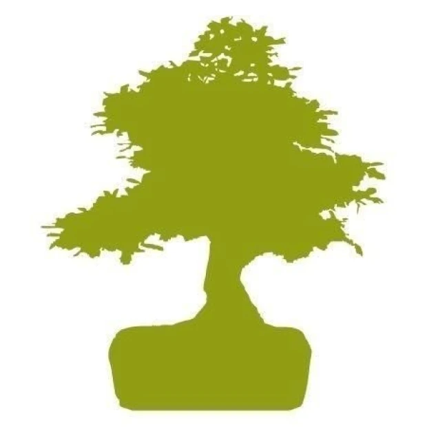 Stylowe drzewko bonsai w delikatnej zieleni, idealne do nowoczesnego wnętrza, dodające harmonii każd