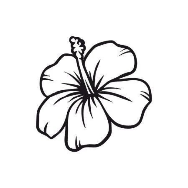 Naklejka hibiscus 1698 w minimalistycznym stylu, idealna do ożywienia nowoczesnego wnętrza.