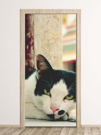 Fototapeta na drzwi czarno-biały kot FP 2515 D