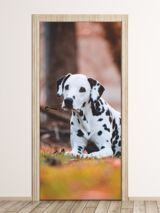 Fototapeta na drzwi czarno-biały pies FP 6176
