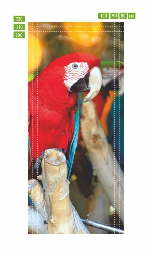 Fototapeta na drzwi czerwona papuga FP 6212