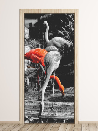 Fototapeta na drzwi flamingi P138