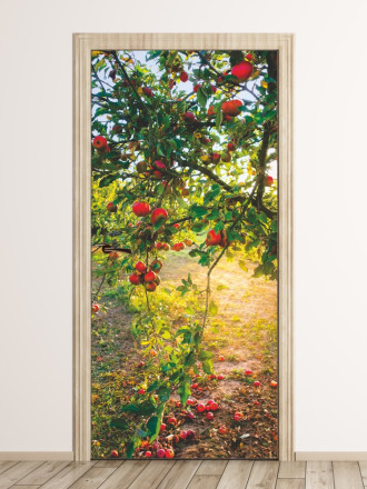 Fototapeta na drzwi jabłoń FP 6067