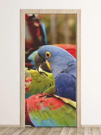 Fototapeta na drzwi kolorowe papugi FP 2567 D