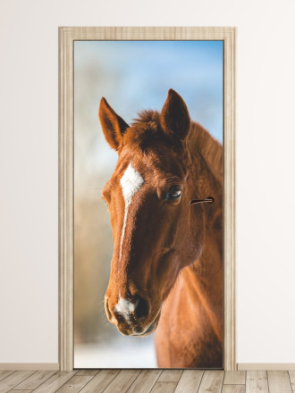 Fototapeta na drzwi koń P502