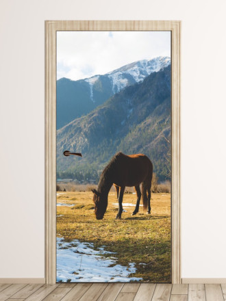 Fototapeta na drzwi koń pasący się na górskiej łące FP 6191