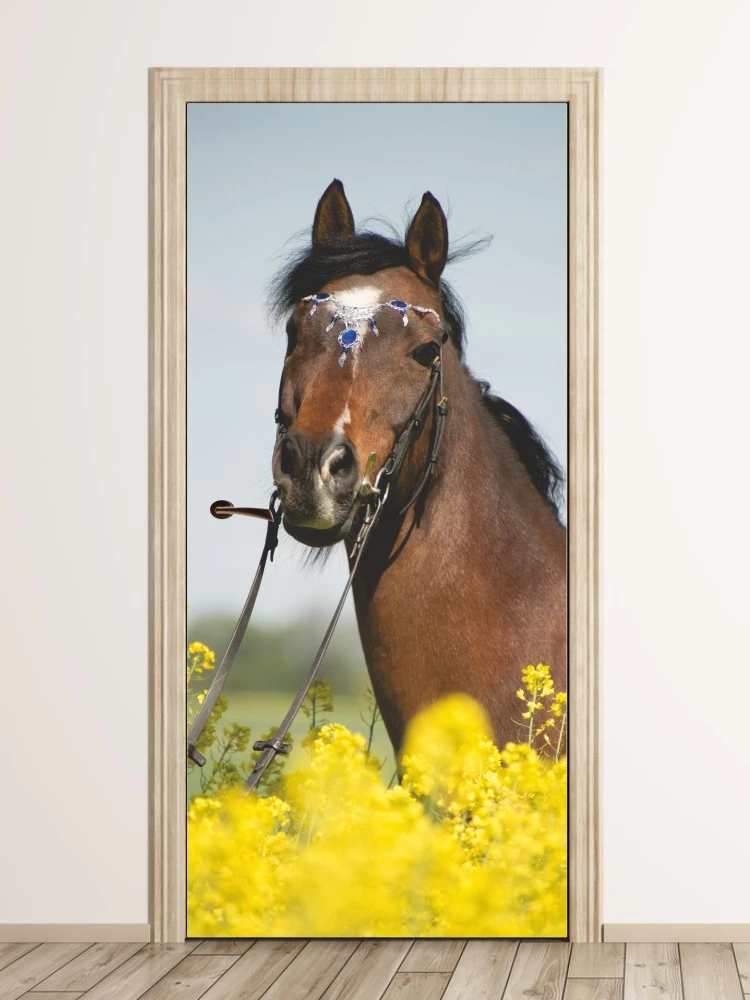 Fototapeta na drzwi koń pasący się na łące FP 6209