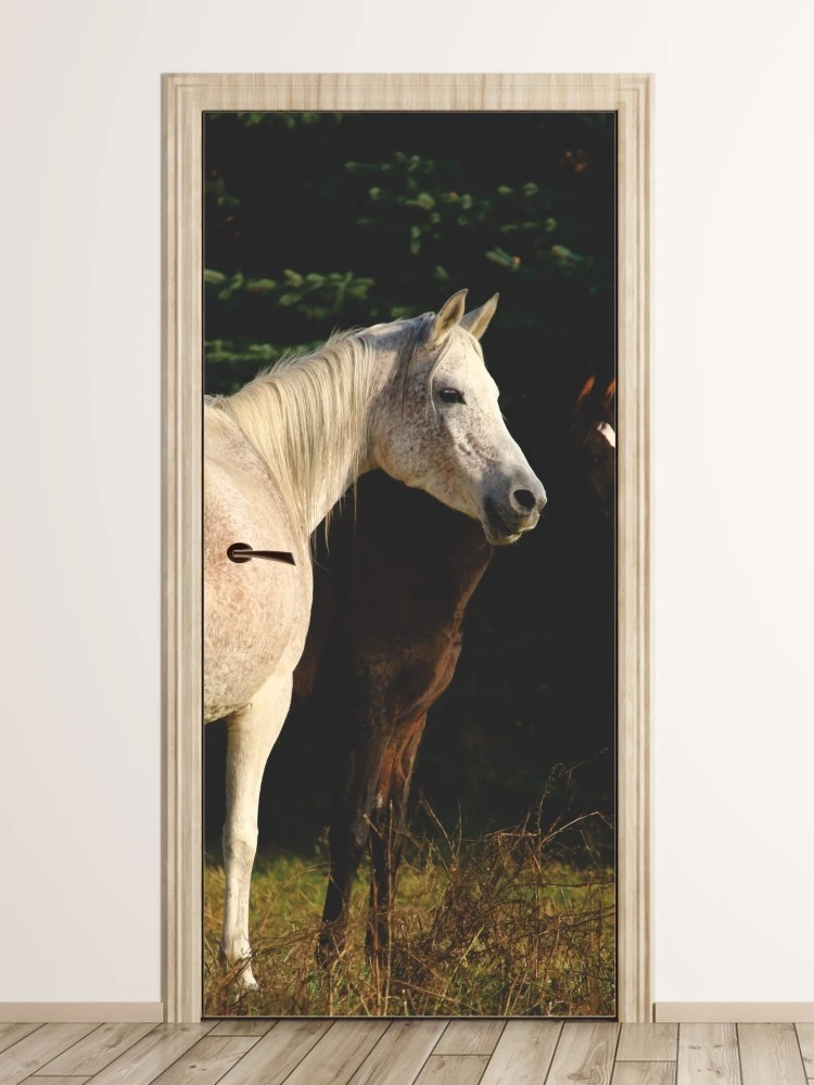 Fototapeta na drzwi konie na łące FP 2627 D