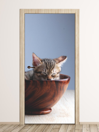 Fototapeta na drzwi kot w mistce P56