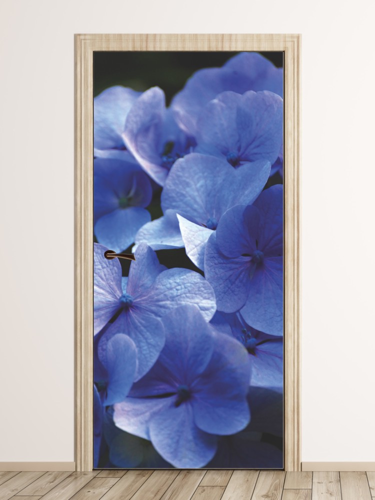 Fototapeta na drzwi kwiat P78