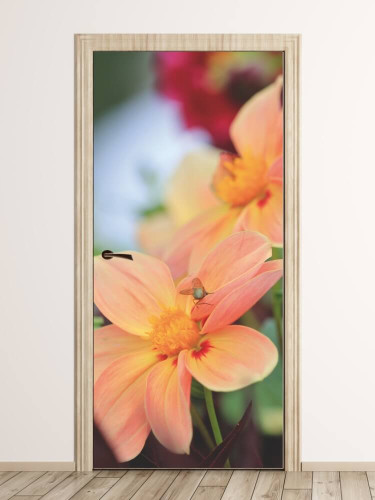 Fototapeta na drzwi kwiaty 99