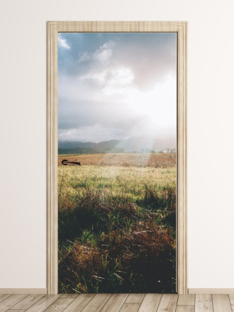 Fototapeta na drzwi łąka w słońcu FP 1552