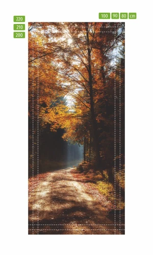 Fototapeta na drzwi leśna droga skąpana słońcem FP 6048