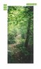 Fototapeta na drzwi leśna ścieżka FP 6039