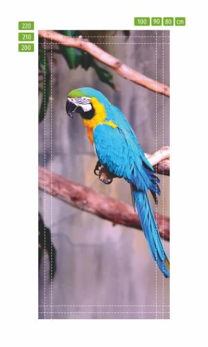 Fototapeta na drzwi niebieska papuga FP 6202